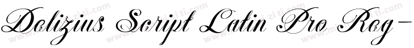 Delizius Script Latin Pro Reg字体转换